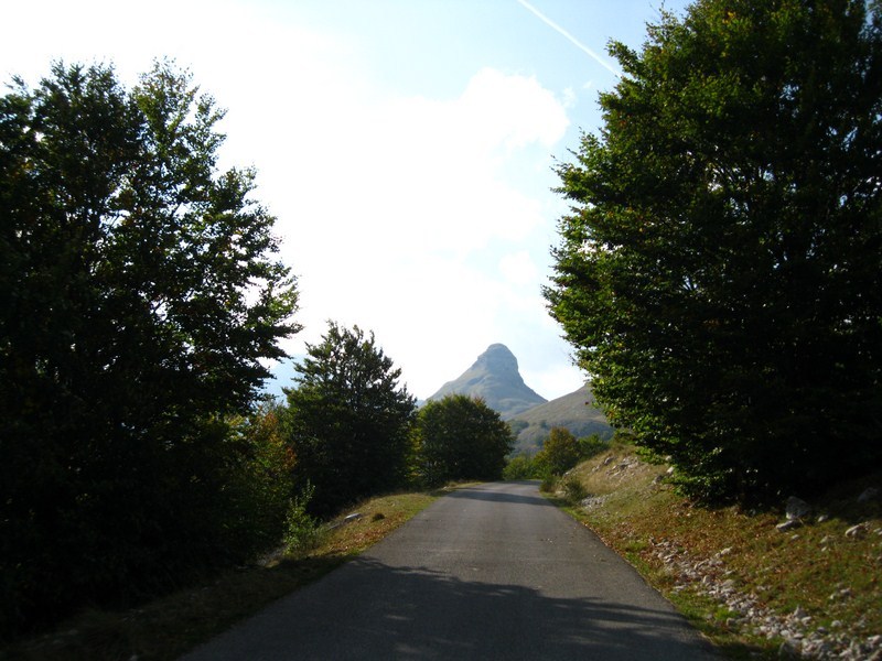Posted Image