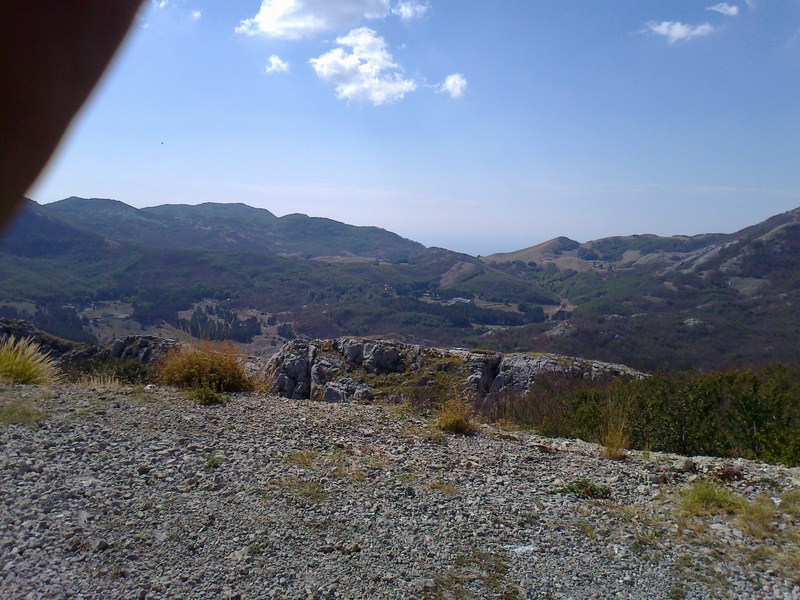 Posted Image