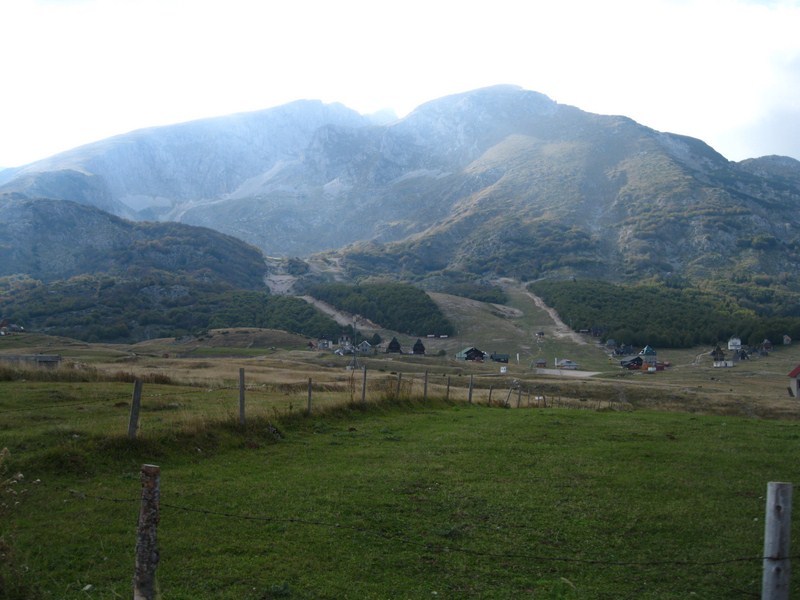 Posted Image