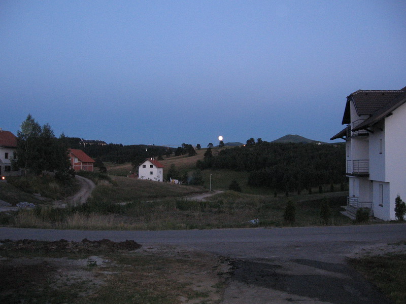 Posted Image
