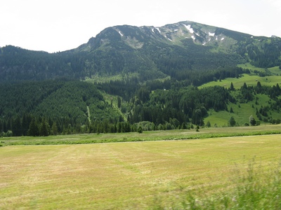 Posted Image