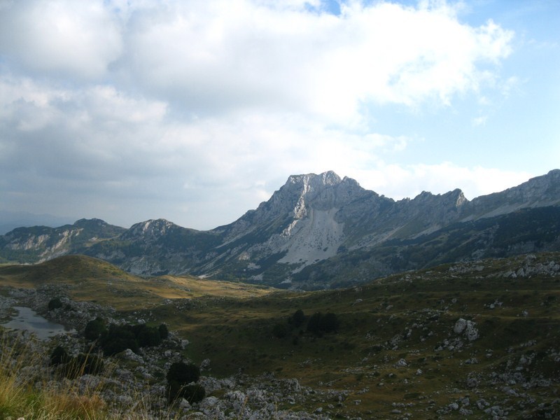 Posted Image