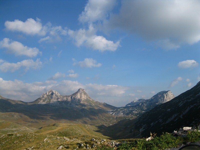 Posted Image