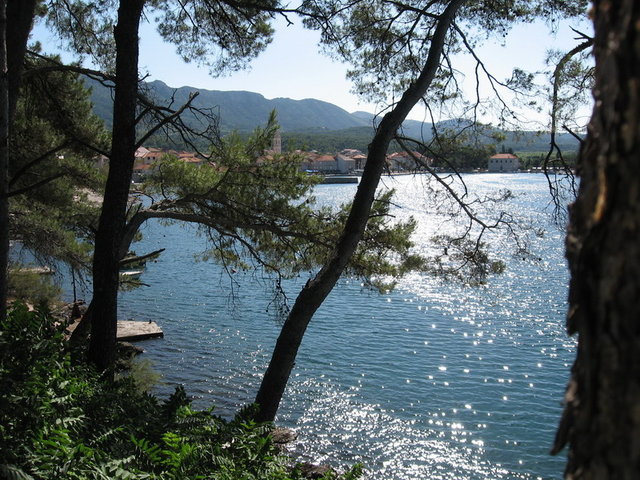 Posted Image