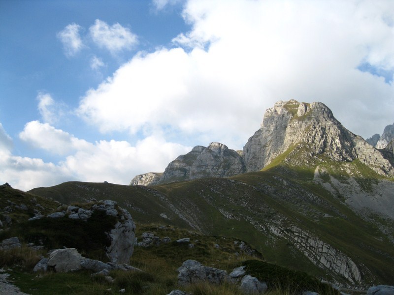 Posted Image