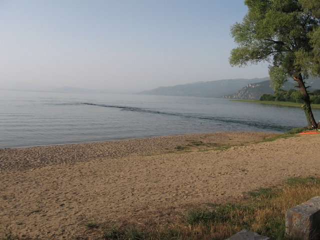 Posted Image