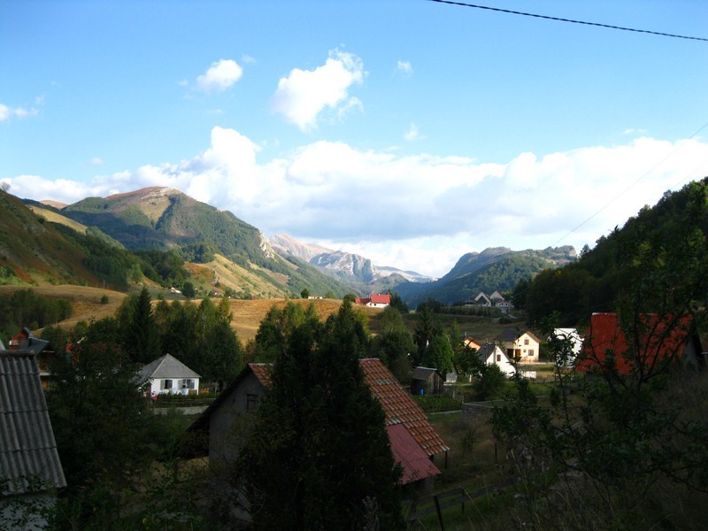 Posted Image