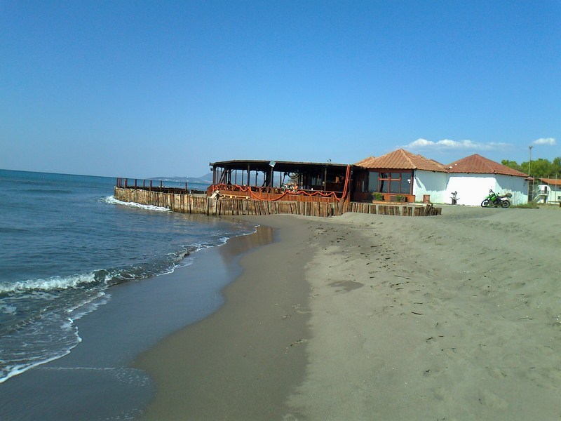 Posted Image