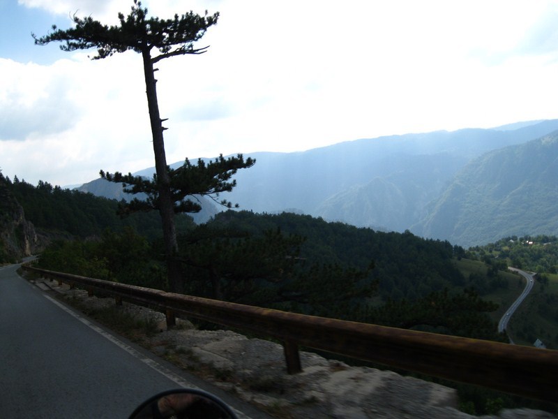 Posted Image