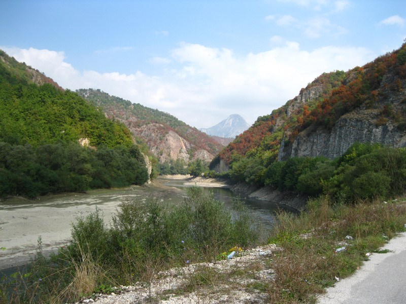 Posted Image