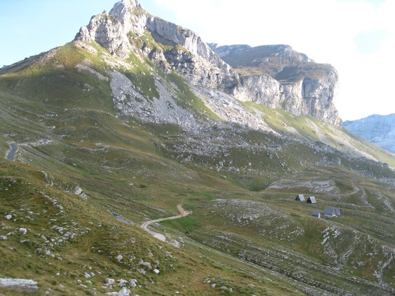 Posted Image