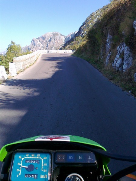 Posted Image