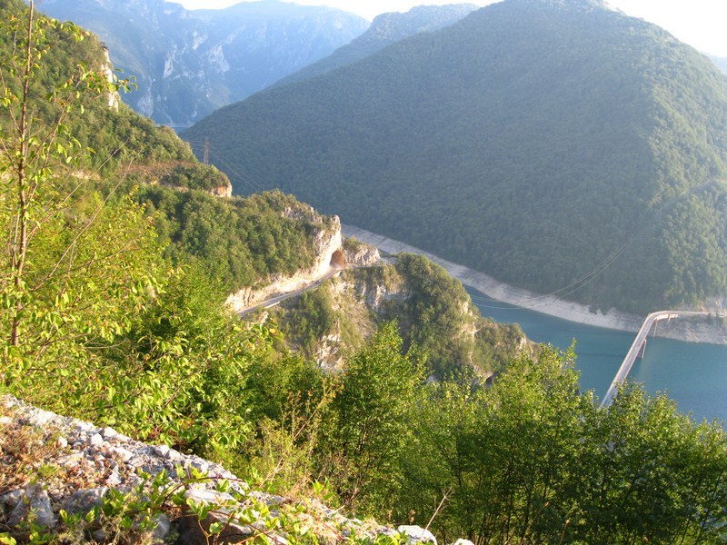 Posted Image