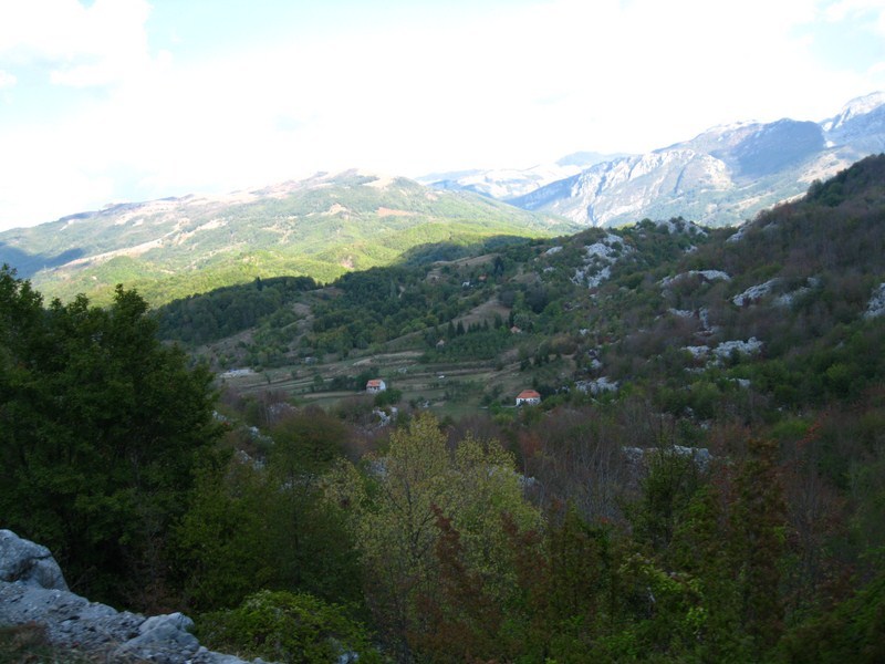 Posted Image