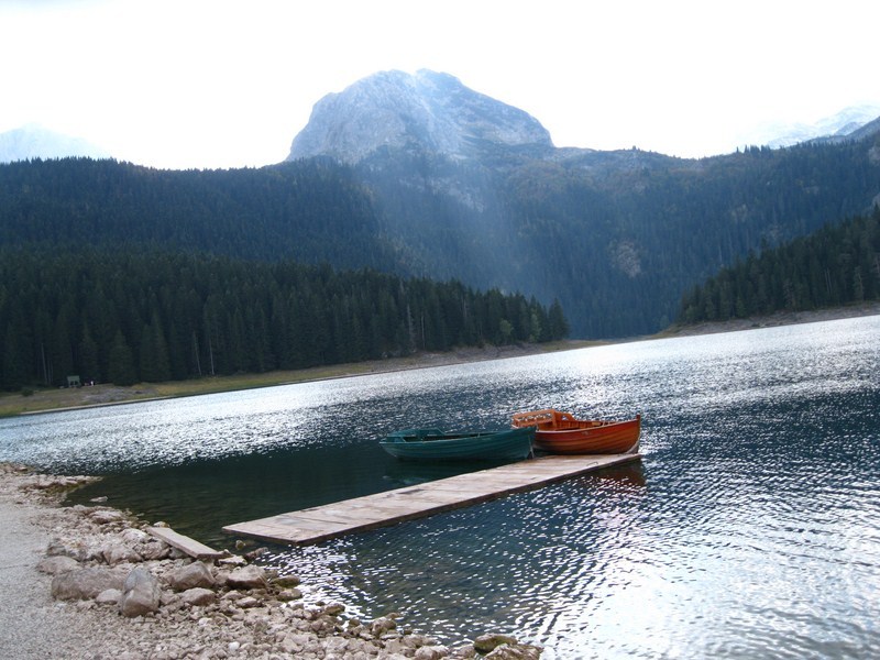 Posted Image