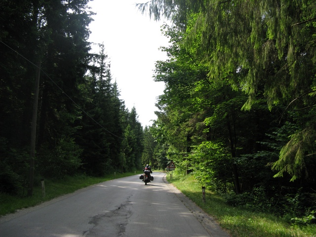Posted Image