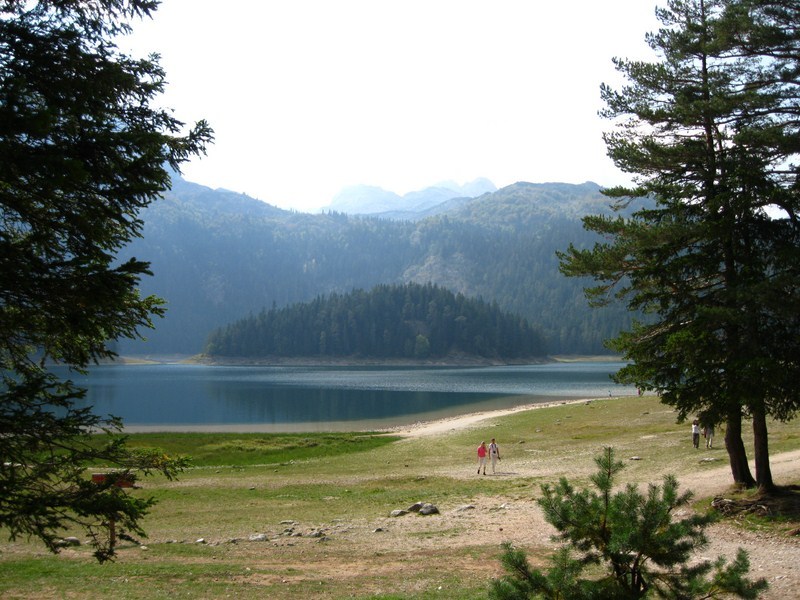 Posted Image