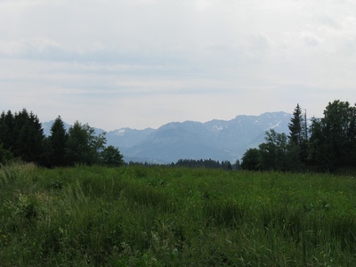 Posted Image