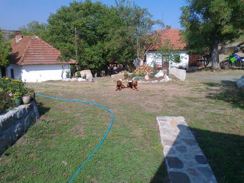 Posted Image