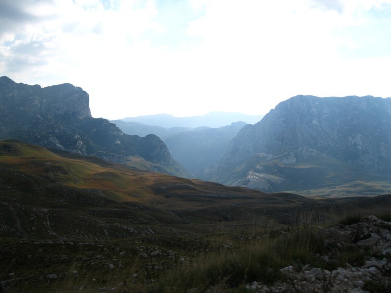 Posted Image