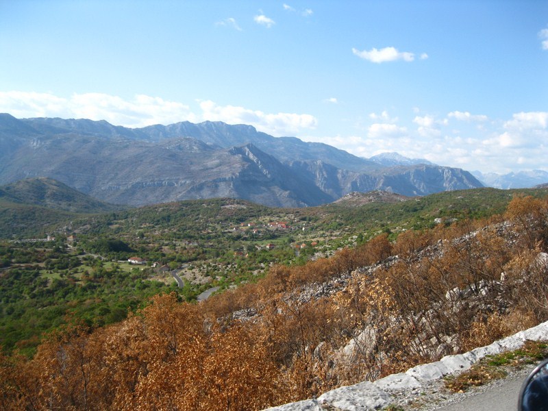 Posted Image